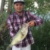 getthenetfishin
