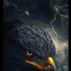 ali.mouhamed21