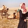 mo3bi2