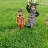 tausif.ali.pingal