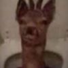 deeriobo