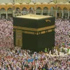 hafidatill