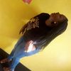 lina.baby27