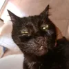 videogames_clips33
