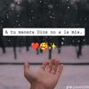 nlq23