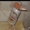 dupszton1