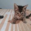 jeny_3526