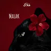 ma_amedi