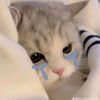 khaing.khaing.zaw221