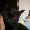 rozaj_5