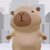 capivara398