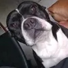 skdkdkfkgkgkgktkfc