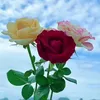 user473810960524