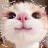 cupsandcalculations