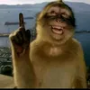 vinhmuonga7