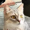 toka_waiii