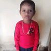 habib.shekh0