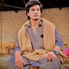 nouman__afridi340