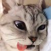hanyww_ch