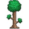 mr.play.terraria