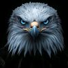 .cheema.bro