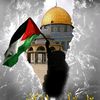 فلسطين 🇵🇸