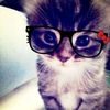 kentutzzz_