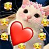 user7226135105650