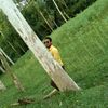 nowshinnowrin08