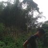 latt_aj
