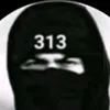 313hfi956
