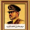 sakhawatali4005