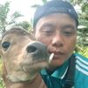 peternak.muda07