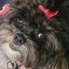 minnie_aka_hun_doole