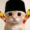 farkk60