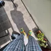 aaronjlc.gsy