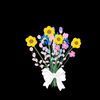 useername_0203