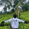 wahyulin__2