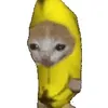 cat_buys_banana_suit