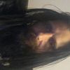 fred09168