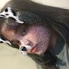 ana_gabbx