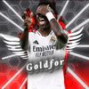 goldforss_aep