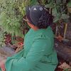 dina37689
