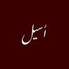 aseel.fattani