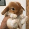 random.account.skibidi