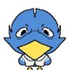 user291151018