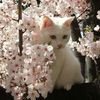 nonyyyuy_