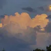 emy_username6838