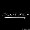 mohamedalnemr2025