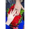 nour.magdy80